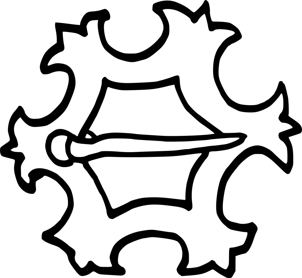 Kingid
